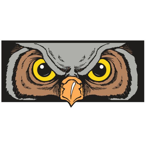 AR5 Owl 13 RQC Thumbnail